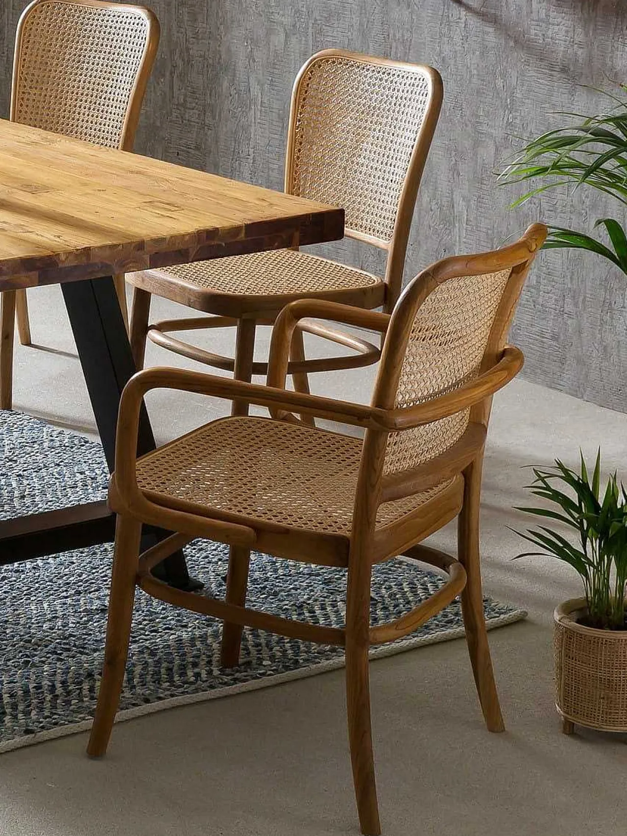 mutoni sweet home Armlehnstuhl Rattan Teak Braun> Holzstühle