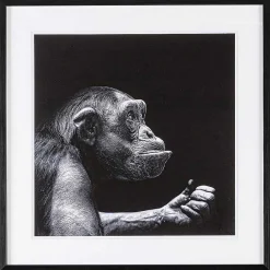 mutoni lifestyle Bild Evidence Ape 49X49> Glasbilder