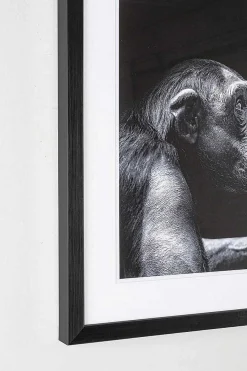 mutoni lifestyle Bild Evidence Ape 49X49> Glasbilder