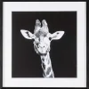 mutoni lifestyle Bild Evidence Giraffe 49X49> Glasbilder