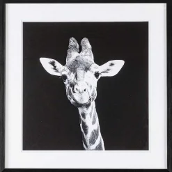 mutoni lifestyle Bild Evidence Giraffe 49X49> Glasbilder