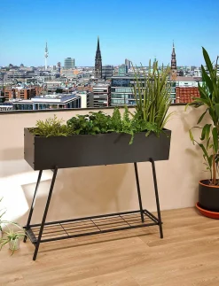 mutoni pleasure Blumenkasten Jasmin Stahl Anthrazit><noscript><img width=