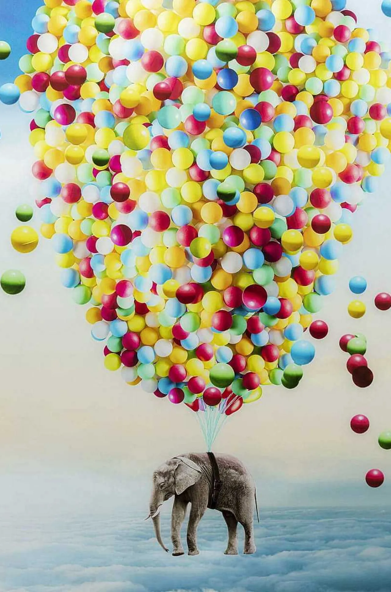 KARE Design Glasbild Balloon Elephant 100X150> Glasbilder