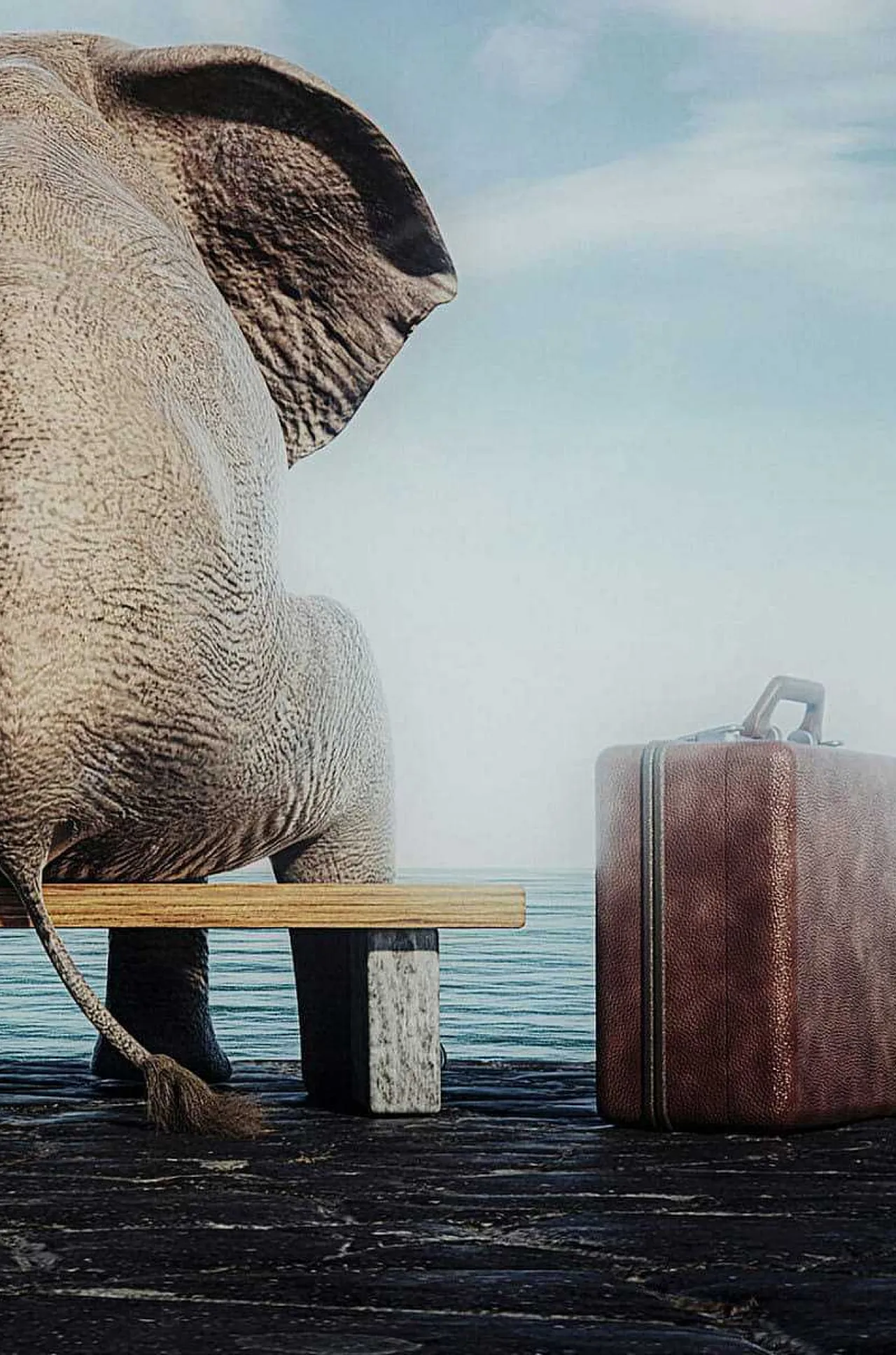 KARE Design Glasbild Elephant Journey 60X40> Glasbilder