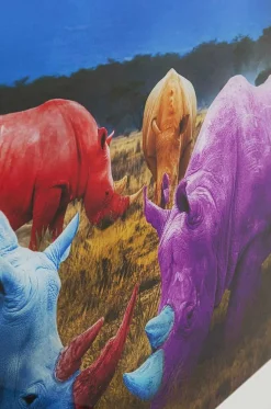 KARE Design Glasbild Rhino Colore 120X80> Glasbilder