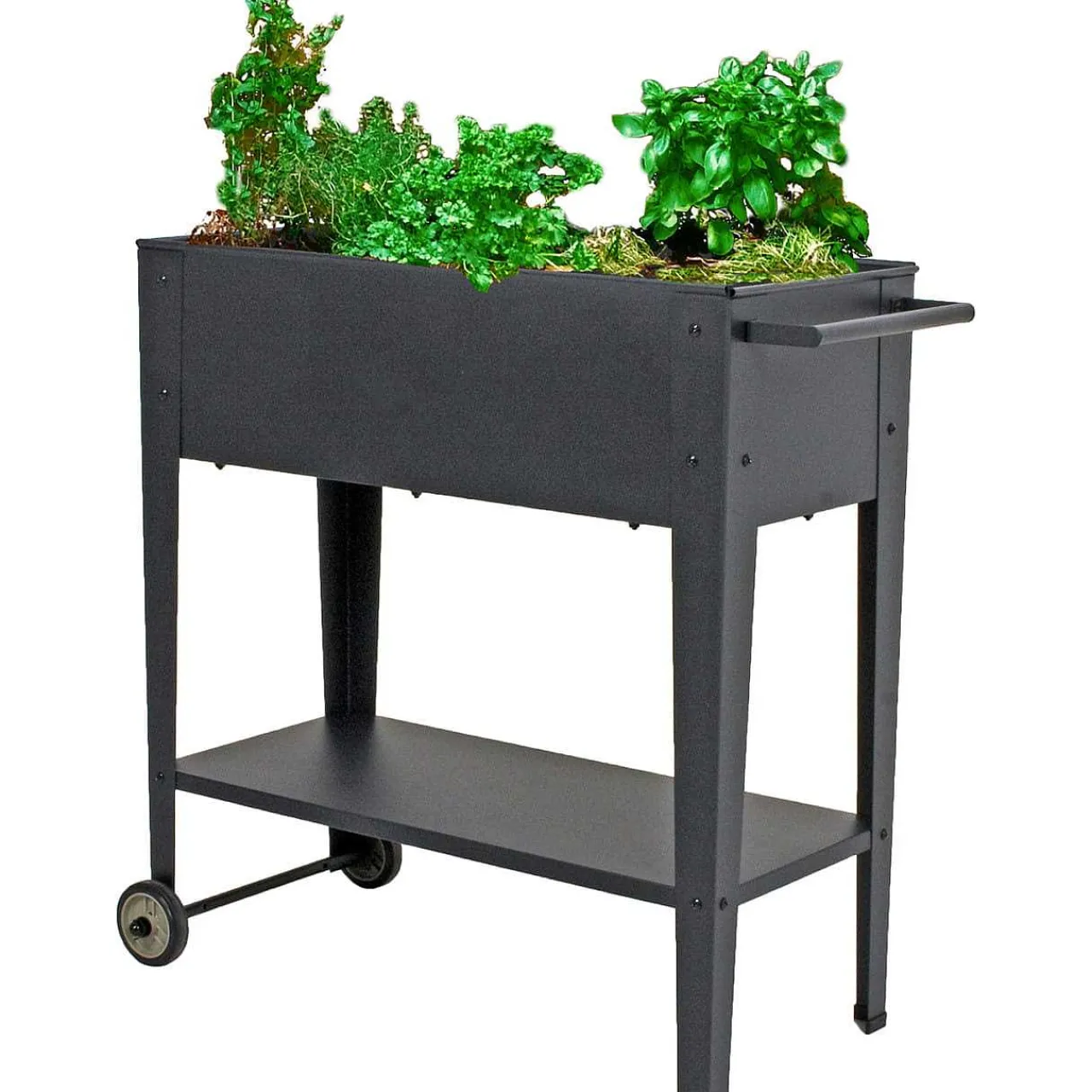 mutoni pleasure Hochbeet Violetta Stahl Anthrazit> Gartenvasen Und Pflanzkübel