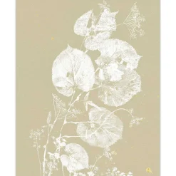 mutoni living Poster Field Leaves 46X66> Poster