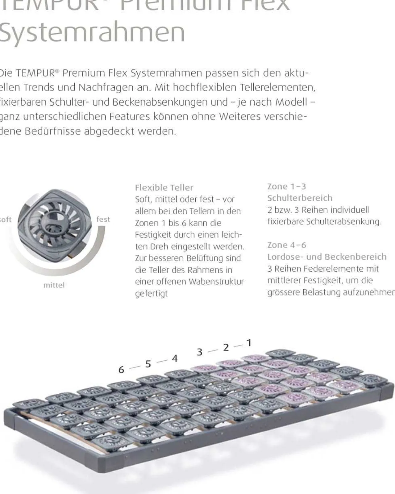 Tempur Premium Flex 3000> Lattenroste