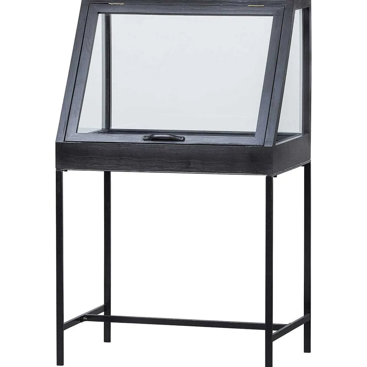 mutoni living Vitrinenkasten Dido Schwarz 65X109> Vitrinen